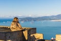 Young Barbery Ape sitting on a wooden construction on the Rock of Gibraltar against a vivid scenic seascape