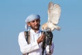 Young barn owl during a falconry flight show in Dubai, UAE.