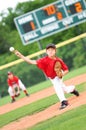 Young baseball player pitching the ball Royalty Free Stock Photo