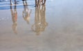 Young bathers in bathing suits reflection on freshly wet sand