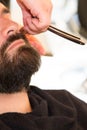 Bearded Man Getting Beard Haircut By Barber in barbershop Royalty Free Stock Photo