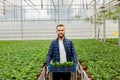 A young bearded man stands in a greenhouse, holding boxes of plants in his hands Royalty Free Stock Photo