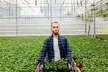 A young bearded man stands in a greenhouse, holding boxes of plants in his hands. Man looking at camera