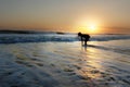 Young beautiful Asian girl alone at sea shore looking at orange sky sunset over ocean Royalty Free Stock Photo