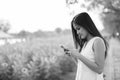 Young beautiful Asian woman using mobile phone against field of blooming sunflowers Royalty Free Stock Photo