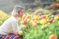 Young beautiful Asian women tourist sitting and surround by colorful tulips field