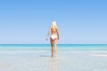 Young and beautiful blond woman posing in bikini on the beach. Fit and sexy fashion model in swimsuit. Royalty Free Stock Photo