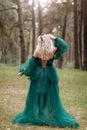 Young beautiful blonde hair woman queen. Princess walks. autumn green forest mystic. Vintage medieval shiny crown. Long evening Royalty Free Stock Photo