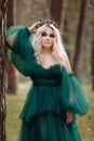 Young beautiful blonde hair woman queen. Princess walks. autumn green forest mystic. Vintage medieval shiny crown. Long evening Royalty Free Stock Photo