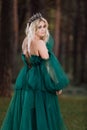 Young beautiful blonde hair woman queen. Princess walks. autumn green forest mystic. Vintage medieval shiny crown. Long evening Royalty Free Stock Photo