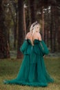 Young beautiful blonde hair woman queen. Princess walks. autumn green forest mystic. Vintage medieval shiny crown. Long evening Royalty Free Stock Photo