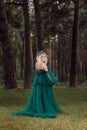 Young beautiful blonde hair woman queen. Princess walks. autumn green forest mystic. Vintage medieval shiny crown. Long evening Royalty Free Stock Photo