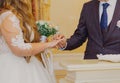 A young beautiful bride puts a ring on her groom& x27;s finger, they are very happy together Royalty Free Stock Photo