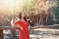 Young beautiful brunette woman in red dress posing leaning on a wooden fence. Horses and trees in the background. Light Royalty Free Stock Photo