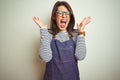 Young beautiful business woman wearing store uniform apron over isolated background celebrating mad and crazy for success with Royalty Free Stock Photo