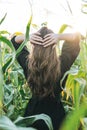 Young beautiful carefree long hair woman in sunglasses in sunset corn field, people from behind. Sensitivity to nature concept Royalty Free Stock Photo