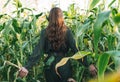 Young beautiful carefree long hair woman in sunglasses in sunset corn field, people from behind. Sensitivity to nature concept Royalty Free Stock Photo