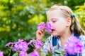 Young beautiful child girl smells purple flowers in the garden Royalty Free Stock Photo