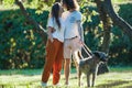 Young beautiful couple walking the dog in the summer park Royalty Free Stock Photo