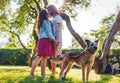 Young beautiful couple walking the dog in the summer park Royalty Free Stock Photo