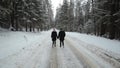 Back view of young and beautiful couple is walking in the winter forest. Milennials man and woman having fun. Winter