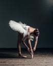 Young beautiful dancer posing in studio Royalty Free Stock Photo