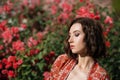 Young beautiful dreamy woman with red roses on a background. Outdoor portrait of a romantic girl with hard sunlight. Space for