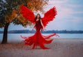 Young beautiful fantasy woman fallen angel lying in air near a tree with orange leaves. Creative red costume, huge