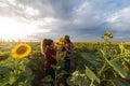 Young beautiful farmer girls examining crop of sunflowers in fie