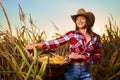 Young farmer woman harvesting corn Royalty Free Stock Photo