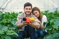 Young and beautiful farmers are holding vegitables Royalty Free Stock Photo