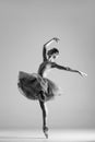 Young beautiful ballet dancer posing in a studio Royalty Free Stock Photo