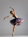 Young beautiful ballet dancer posing in a studio Royalty Free Stock Photo