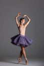 Young beautiful ballet dancer posing in a studio Royalty Free Stock Photo