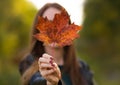 Young beautiful girl in autumn park holds a maple leaf Royalty Free Stock Photo