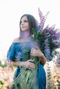 Young beautiful girl in a dress stands in a field of lupins. Girl holds a large bouquet of purple lupins in a flowering field. Royalty Free Stock Photo