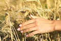 Young beautiful girl in the field with ears in the hand