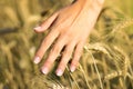 Young beautiful girl in the field with ears in the hand