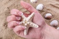 Seaside Elegance: Captivating French Manicure and Beach Treasures