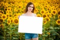 Young beautiful girl holding a big white billboard in the background of yellow sunflowers. Copy space Royalty Free Stock Photo