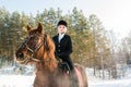 Young beautiful girl jockey riding a horse in winter forest Royalty Free Stock Photo