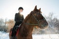 Young beautiful girl jockey riding a horse in winter forest Royalty Free Stock Photo