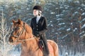 Young beautiful girl jockey riding a horse in winter forest Royalty Free Stock Photo