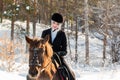 Young beautiful girl jockey riding a horse in winter forest Royalty Free Stock Photo