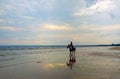 A young beautiful girl in a long dress rides a horse on the beach of the Gulf of Finland Royalty Free Stock Photo