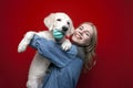 Young beautiful girl plays with a golden retriever puppy on a red background, a dog grizzles a toy ball, the hostess hugs a pet Royalty Free Stock Photo