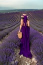 A young beautiful girl in a purple flying dress stands on a blooming lavender field. Rear view. The model has a straw Royalty Free Stock Photo