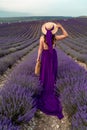 A young beautiful girl in a purple flying dress stands on a blooming lavender field. Rear view. The model has a straw Royalty Free Stock Photo