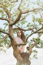 Young beautiful girl sitting in blossom apple tree Royalty Free Stock Photo