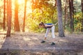 Young beautiful girl sports in the autumn forest at sunset Royalty Free Stock Photo